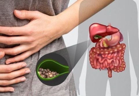 Béo phì và nguy cơ sỏi mật